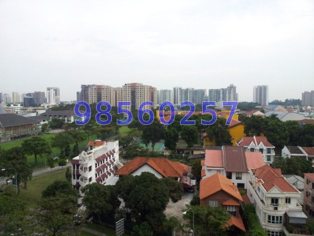 Paradise Palms thumbnail photo